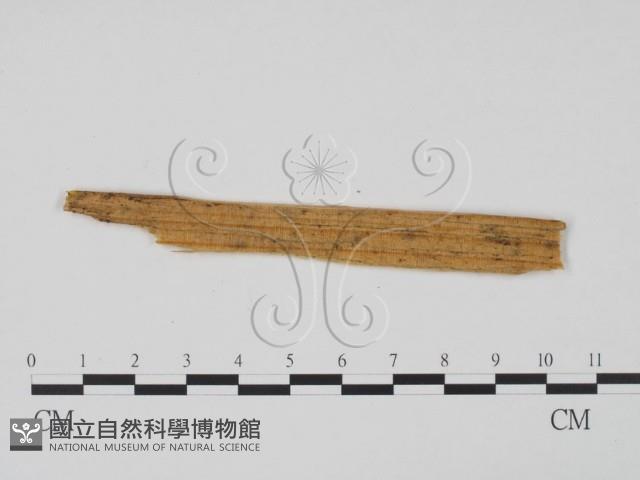 登錄號:F0011696藏品圖，第1張