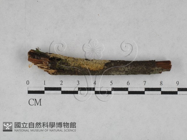登錄號:F0028496藏品圖，第1張