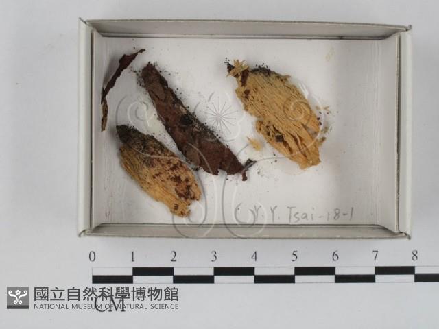 登錄號:F0018496藏品圖，第1張