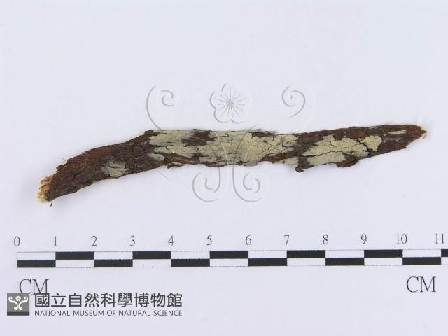 登錄號:F0004496藏品圖，第1張