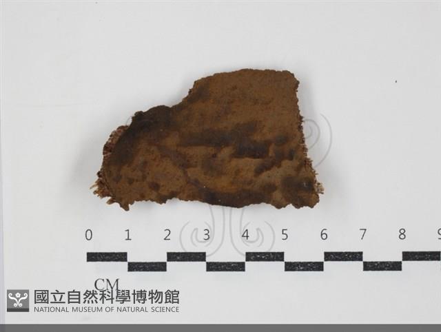 登錄號:F0034496藏品圖，第1張