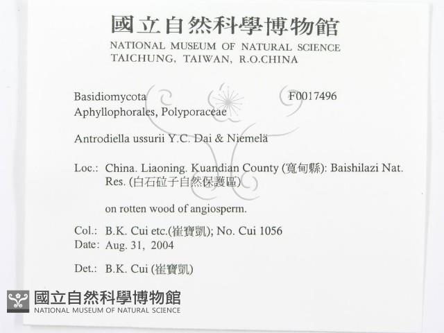 登錄號:F0017496藏品圖，第3張