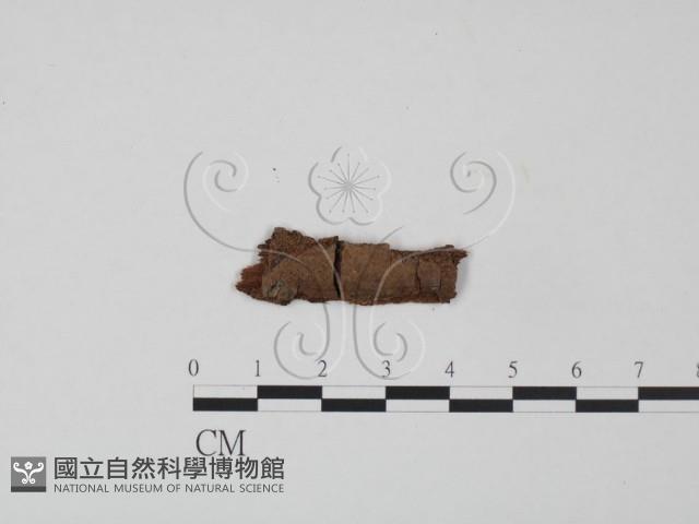 登錄號:F0016796藏品圖，第1張
