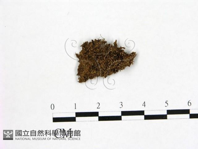 登錄號:F0000596藏品圖，第1張