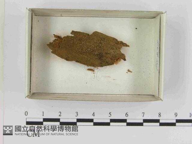 登錄號:F0021596藏品圖，第1張