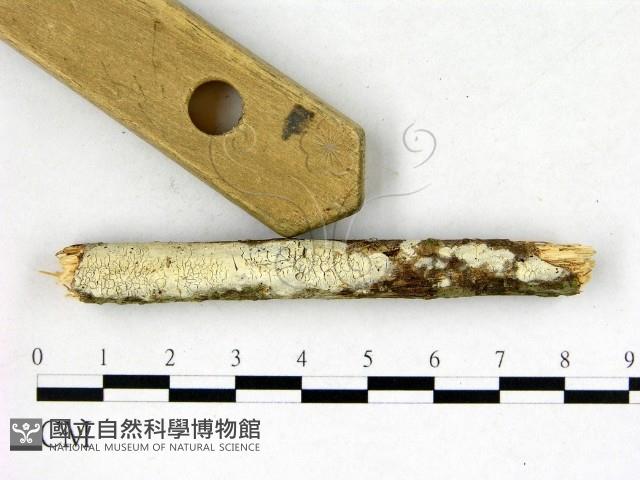 登錄號:F0022596藏品圖，第1張