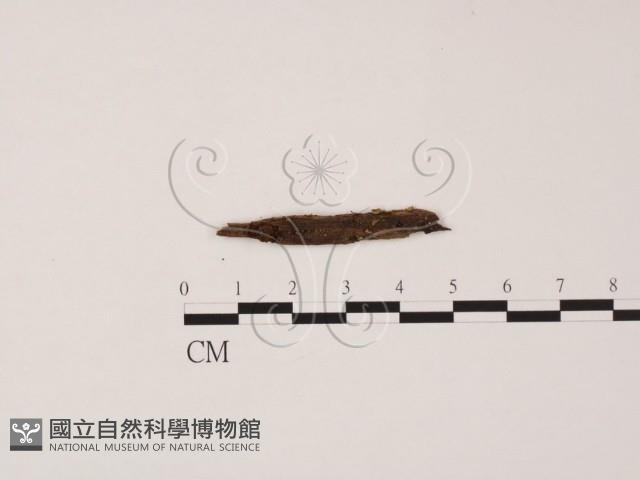 登錄號:F0002596藏品圖，第1張