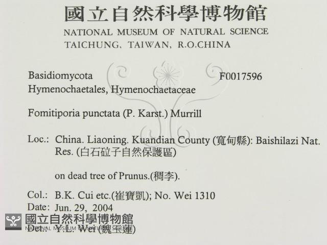 登錄號:F0017596藏品圖，第3張