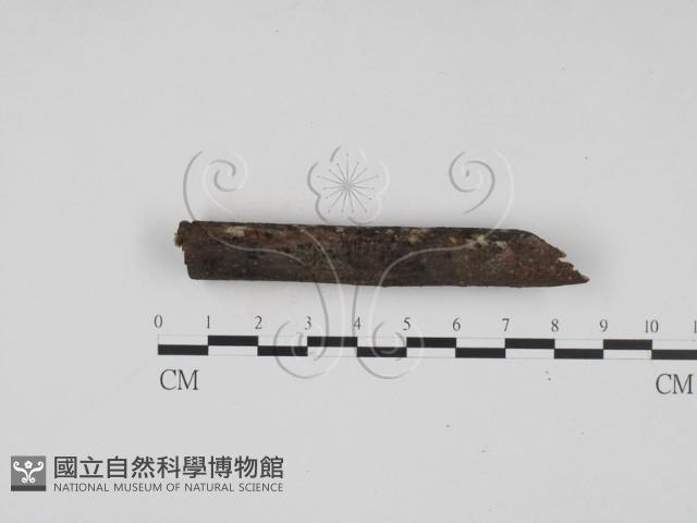 登錄號:F0020196藏品圖，第1張