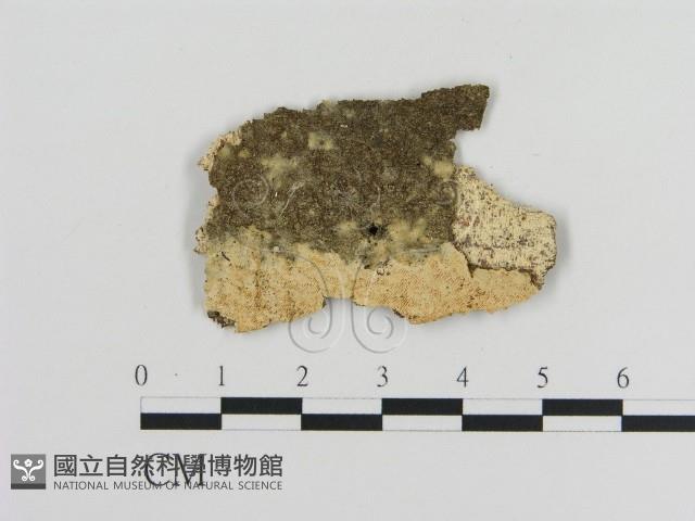 登錄號:F0010196藏品圖，第1張