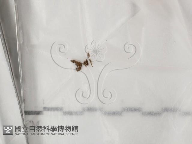 登錄號:F0023196藏品圖，第1張