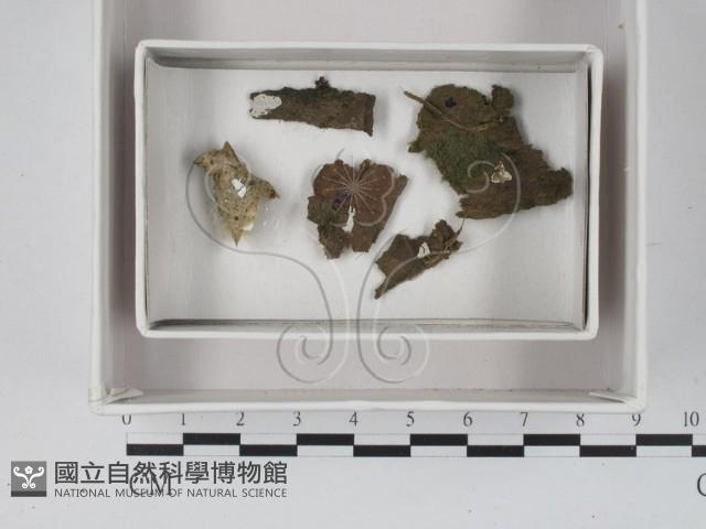 登錄號:F0018096藏品圖，第1張