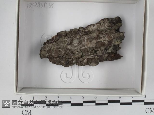 登錄號:F0021096藏品圖，第1張