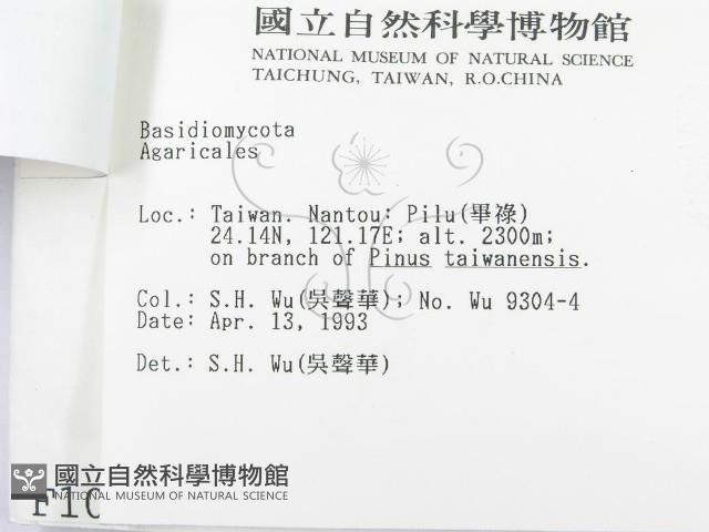 登錄號:F0001096藏品圖，第3張