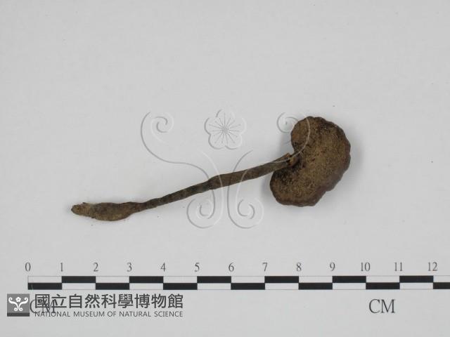 登錄號:F0024096藏品圖，第1張