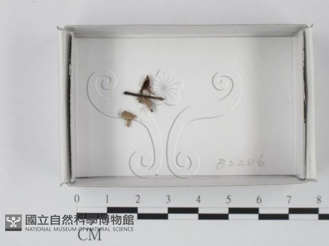 登錄號:F0019096藏品圖，第1張