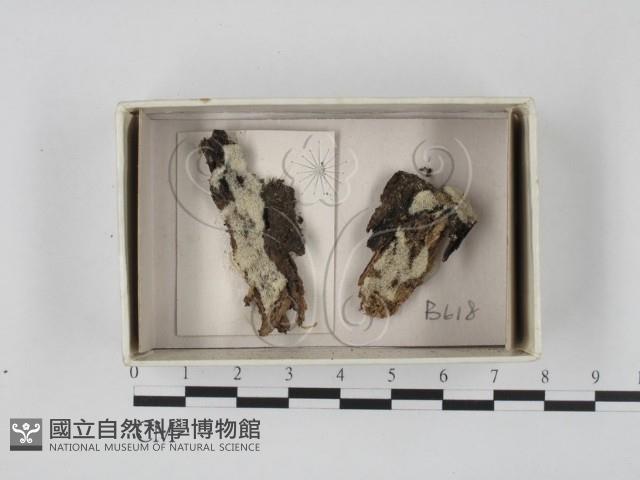登錄號:F0018396藏品圖，第1張