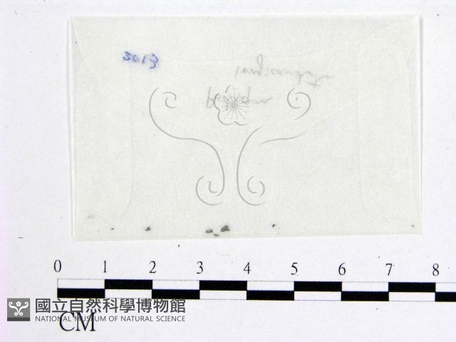 登錄號:F0010396藏品圖，第1張