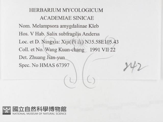 登錄號:F0026396藏品圖，第3張