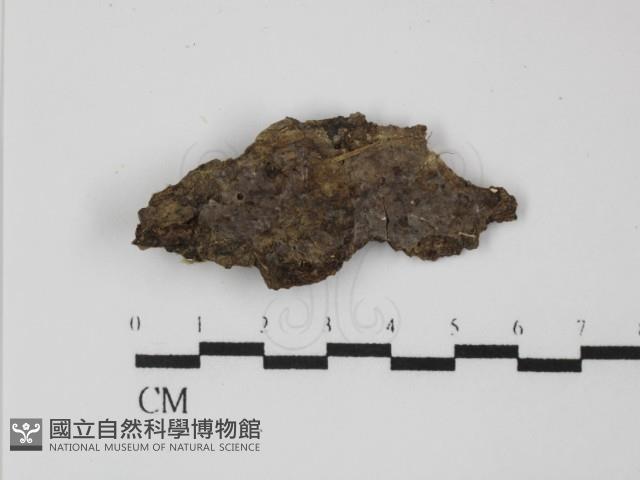 登錄號:F0031396藏品圖，第1張