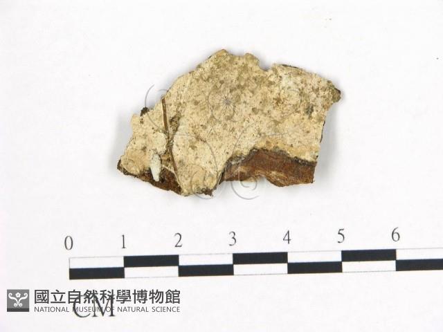 登錄號:F0002396藏品圖，第1張