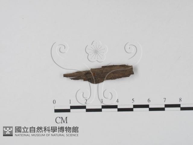 登錄號:F0005396藏品圖，第1張