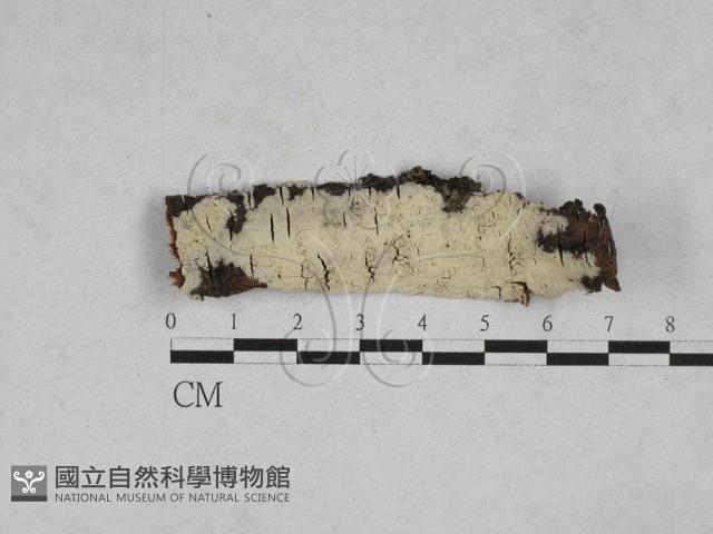 登錄號:F0028286藏品圖，第1張