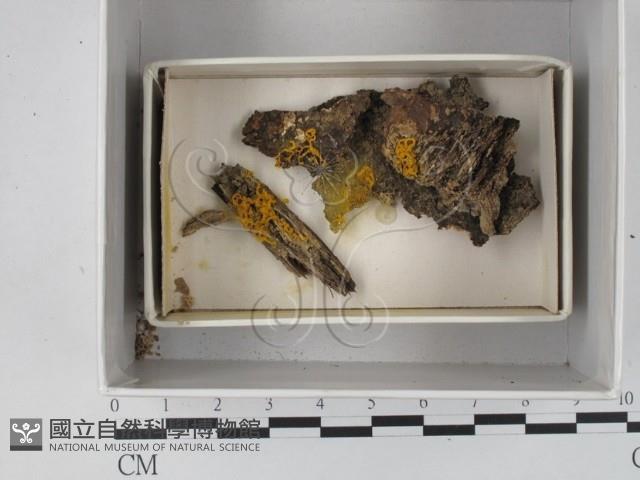 登錄號:F0018286藏品圖，第1張