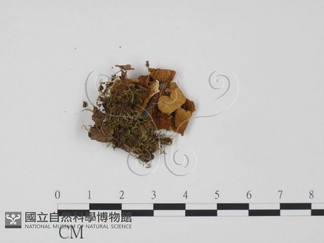 登錄號:F0020286藏品圖，第1張