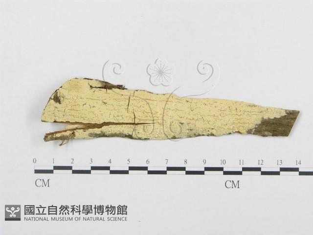 登錄號:F0000286藏品圖，第1張