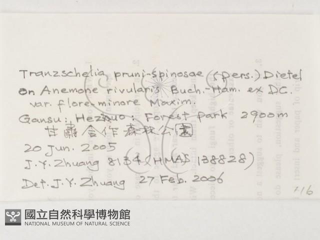 登錄號:F0026286藏品圖，第3張