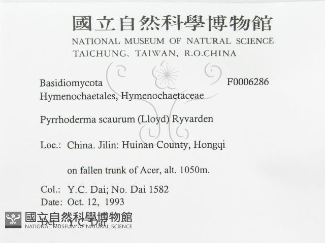 登錄號:F0006286藏品圖，第3張