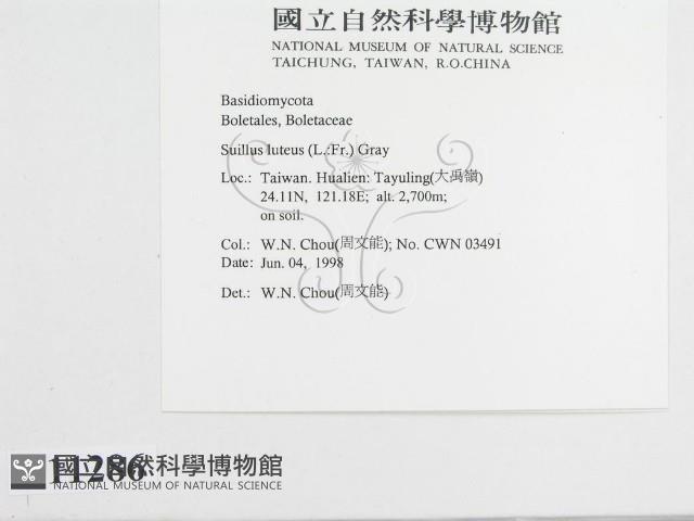 登錄號:F0011286藏品圖，第3張