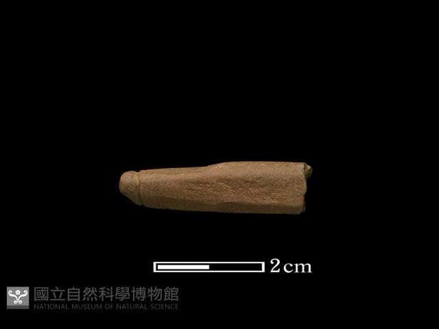 網墜藏品圖，第2張