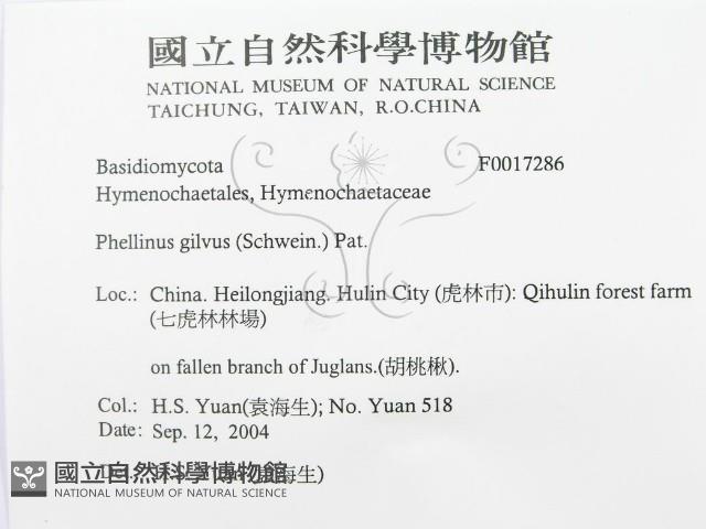 登錄號:F0017286藏品圖，第3張