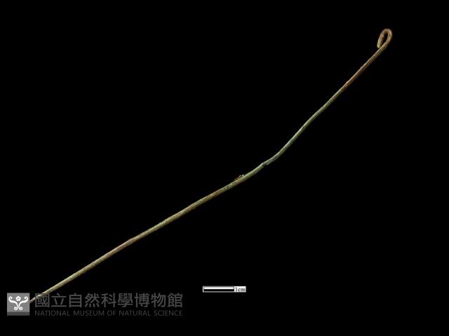 髮簪藏品圖，第2張