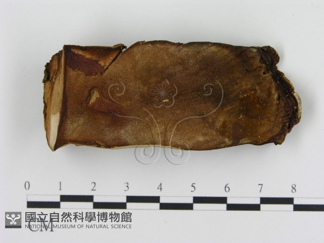 登錄號:F0006886藏品圖，第1張