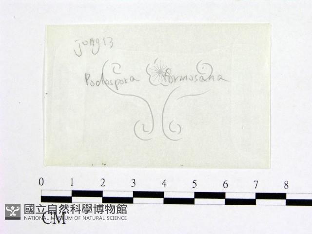 登錄號:F0016886藏品圖，第1張