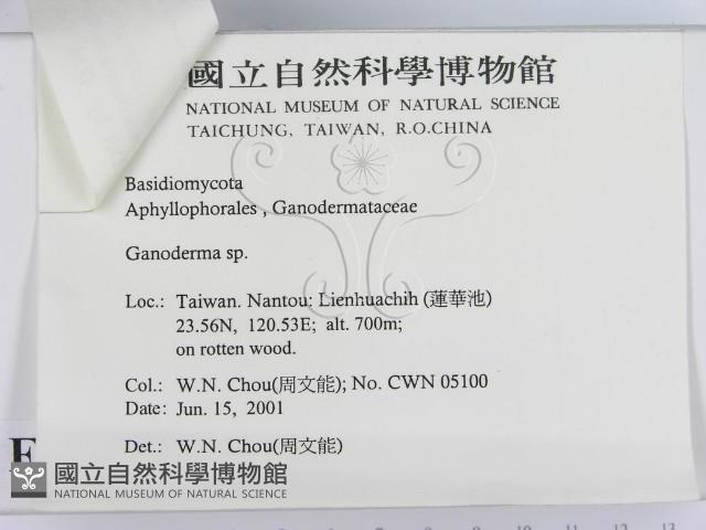登錄號:F0015886藏品圖，第3張