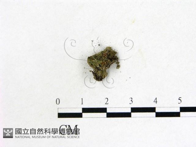 登錄號:F0013886藏品圖，第1張