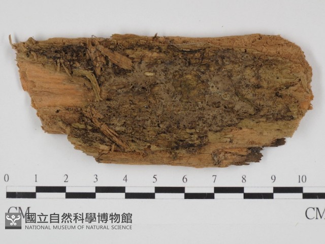 登錄號:F0030986藏品圖，第1張