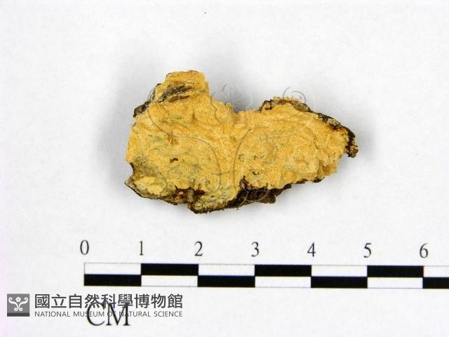 登錄號:F0006986藏品圖，第1張