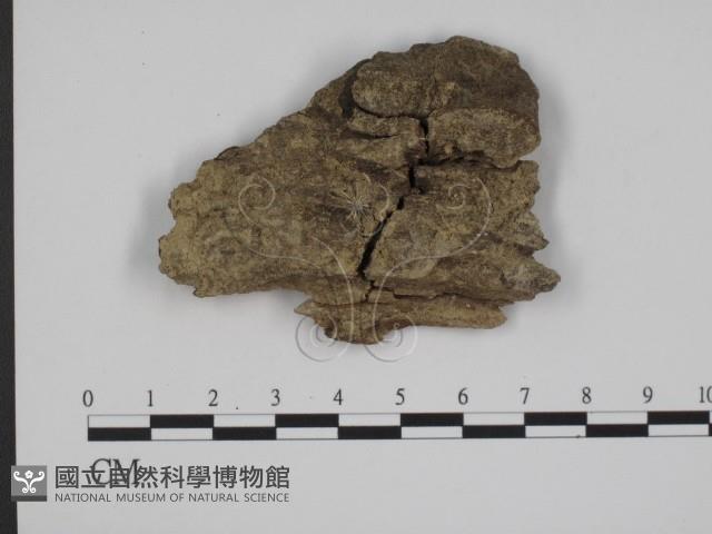 登錄號:F0001986藏品圖，第1張