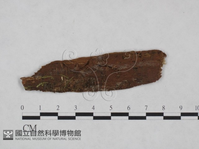 登錄號:F0024986藏品圖，第1張