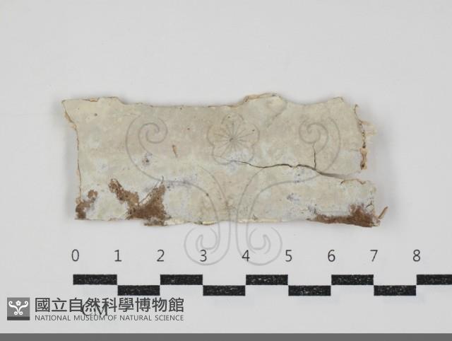 登錄號:F0034686藏品圖，第1張