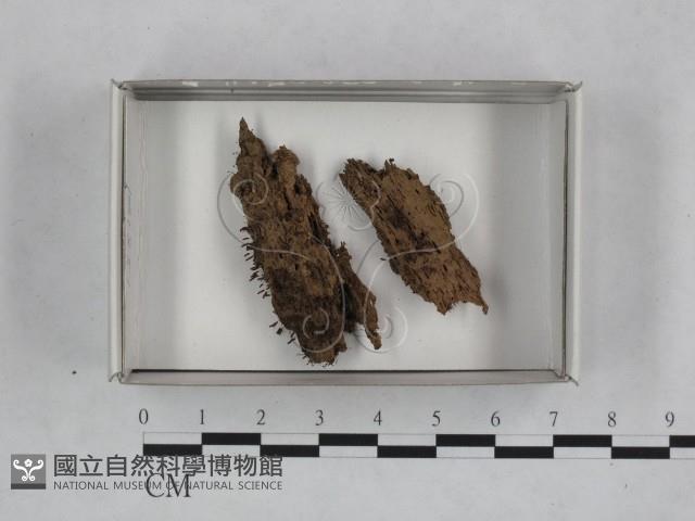 登錄號:F0018486藏品圖，第1張