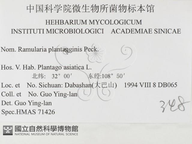 登錄號:F0026486藏品圖，第3張