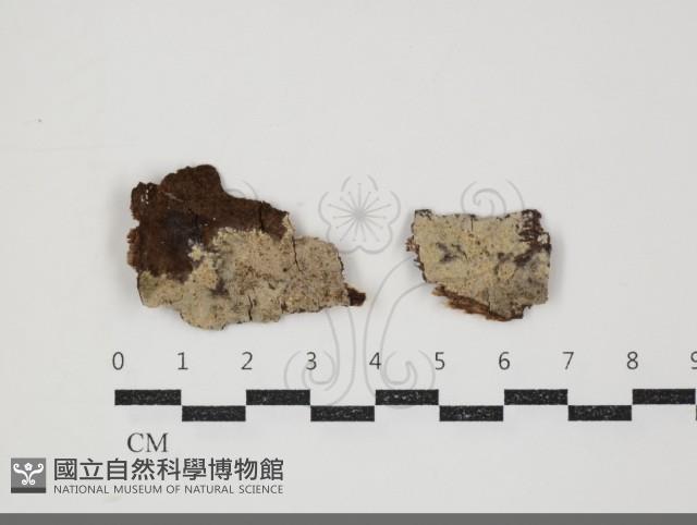 登錄號:F0034486藏品圖，第1張