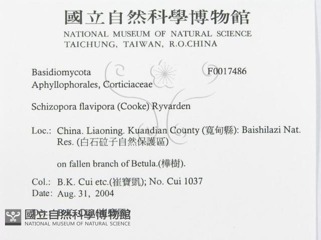 登錄號:F0017486藏品圖，第3張