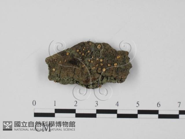 登錄號:F0020786藏品圖，第1張